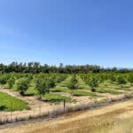 Photo 24 for Cottonwood Creek Ranch and Orchard