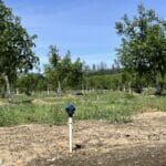 Photo 29 for Cottonwood Creek Ranch and Orchard