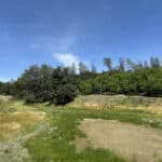 Photo 28 for Cottonwood Creek Ranch and Orchard