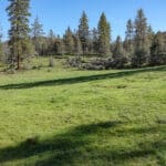 Photo 1 for Scarface Road Parcel 14