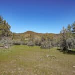 Photo 10 for Scarface Road Parcel 14