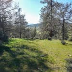 Photo 11 for Scarface Road Parcel 14