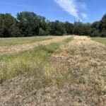 Photo 26 for Cottonwood Creek Ranch and Orchard