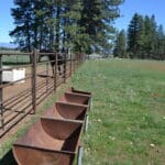 Photo 82 for Foothill Ranch