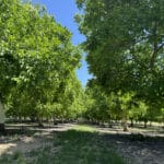 Photo 2 for Cottonwood Creek Ranch and Orchard