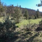 Photo 14 for Scarface Road Parcel 14