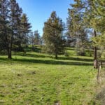 Photo 16 for Scarface Road Parcel 14