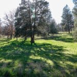 Photo 17 for Scarface Road Parcel 14