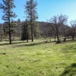 Photo 18 for Scarface Road Parcel 14