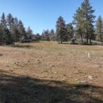 Photo 19 for Scarface Road Parcel 14