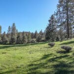 Photo 2 for Scarface Road Parcel 14