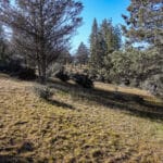 Photo 22 for Scarface Road Parcel 14