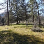 Photo 23 for Scarface Road Parcel 14