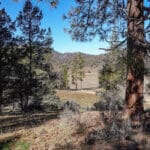 Photo 24 for Scarface Road Parcel 14