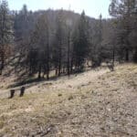 Photo 25 for Scarface Road Parcel 14