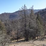 Photo 26 for Scarface Road Parcel 14