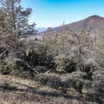 Photo 27 for Scarface Road Parcel 14