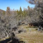 Photo 28 for Scarface Road Parcel 14