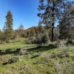 Photo 3 for Scarface Road Parcel 14