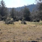 Photo 30 for Scarface Road Parcel 14