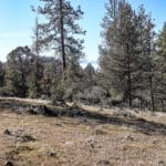 Photo 31 for Scarface Road Parcel 14