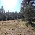 Photo 33 for Scarface Road Parcel 14