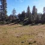 Photo 34 for Scarface Road Parcel 14