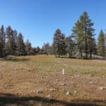 Photo 35 for Scarface Road Parcel 14