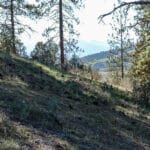 Photo 4 for Scarface Road Parcel 14