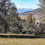 Photo 5 for Scarface Road Parcel 14