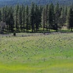 Photo 13 for Foothill Ranch