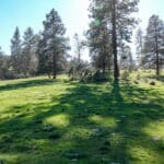 Photo 7 for Scarface Road Parcel 14