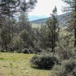 Photo 8 for Scarface Road Parcel 14