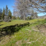 Photo 9 for Scarface Road Parcel 14