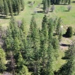 Photo 69 for Foothill Ranch