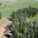 Photo 70 for Foothill Ranch