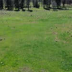 Photo 64 for Foothill Ranch