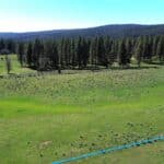 Photo 66 for Foothill Ranch