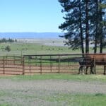 Photo 81 for Foothill Ranch