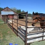 Photo 83 for Foothill Ranch