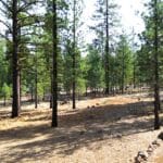 Photo 1 for Big Springs Homesite