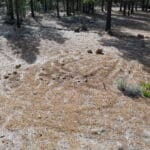 Photo 10 for Big Springs Homesite