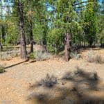 Photo 7 for Big Springs Homesite