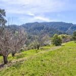 Photo 67 for Cazadero Big Oaks Ranch