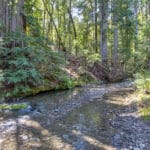 Photo 72 for Cazadero Big Oaks Ranch