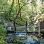 Photo 78 for Cazadero Big Oaks Ranch