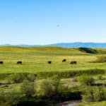 Photo 4 for Carpenter Ranch