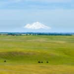 Photo 6 for Carpenter Ranch