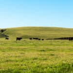 Photo 10 for Carpenter Ranch