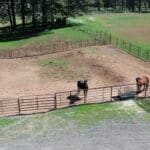 Photo 84 for Foothill Ranch